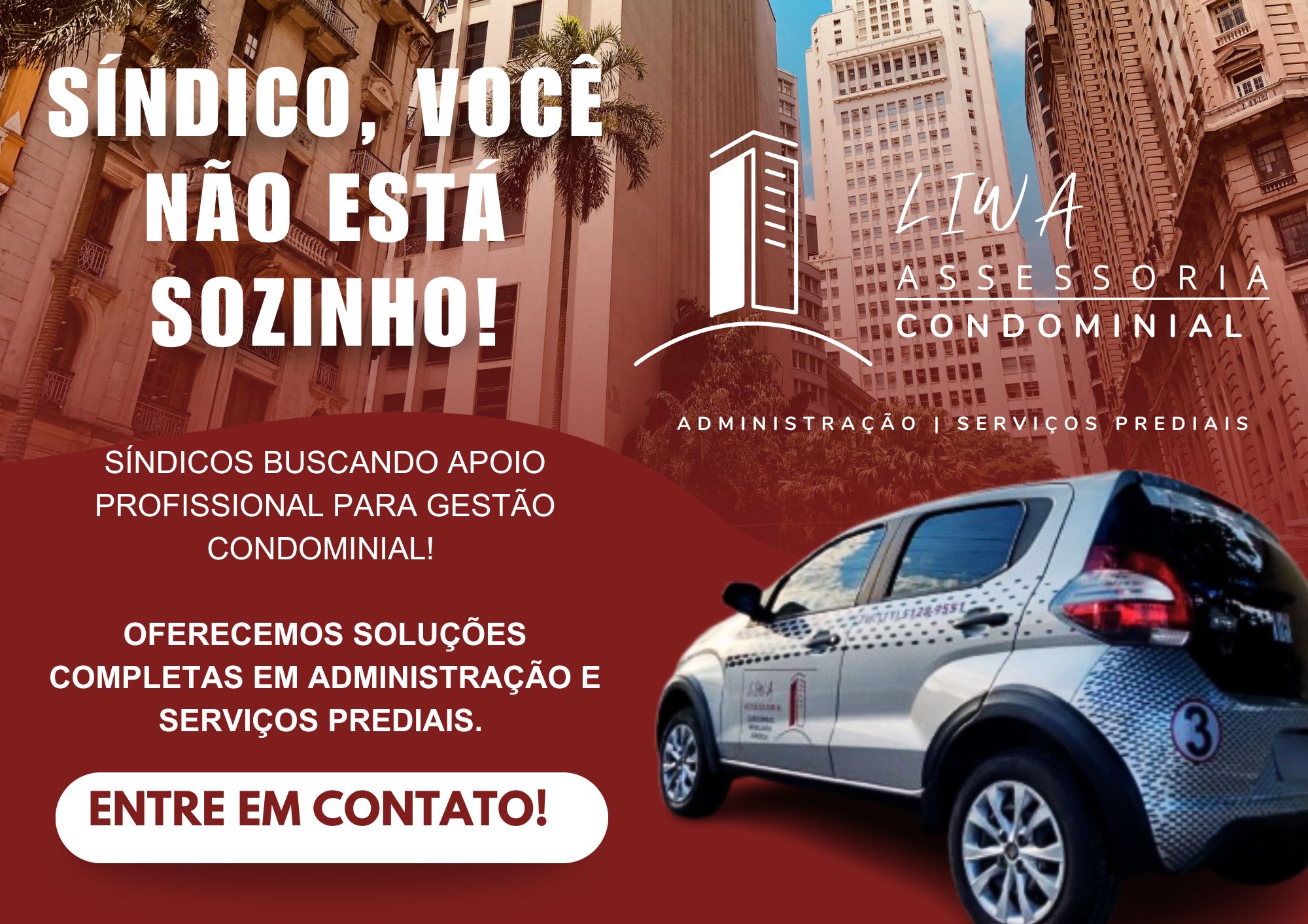 Panfleto de divulgação de limpeza profissional azul (6).jpg